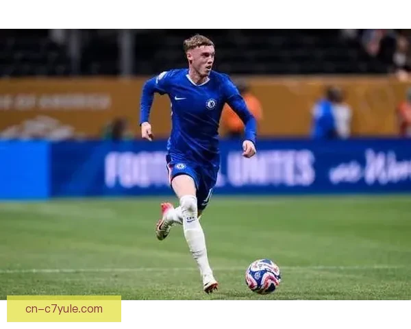 曼城视罗德里考察安德森里德