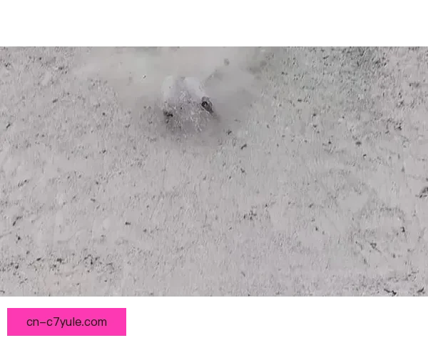 两天三摔太心痛齐广璞遗憾谢幕