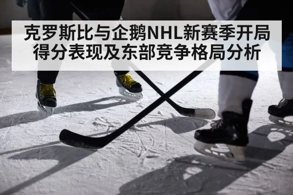 克罗斯比与企鹅NHL新赛季开局得分表现及东部竞争格局分析（c7c7）